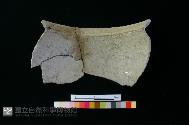 陶罐藏品圖，第2張