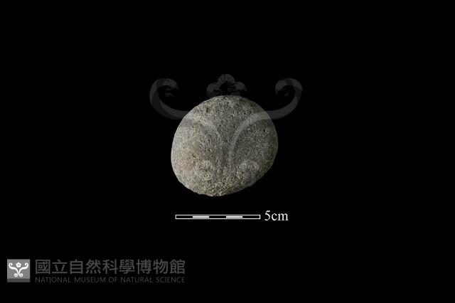 石鎚藏品圖，第1張