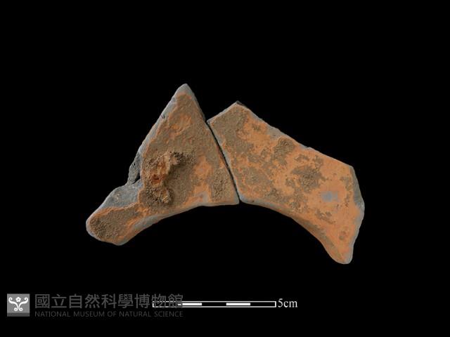 連杯形器藏品圖，第2張