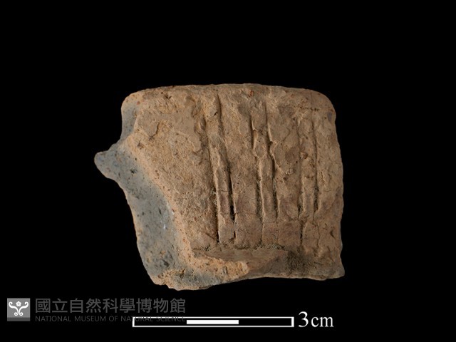 陶片藏品圖，第1張