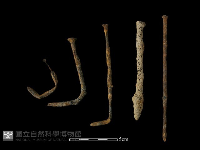 鐵釘藏品圖，第1張
