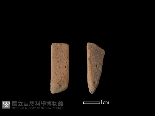陶片藏品圖，第1張