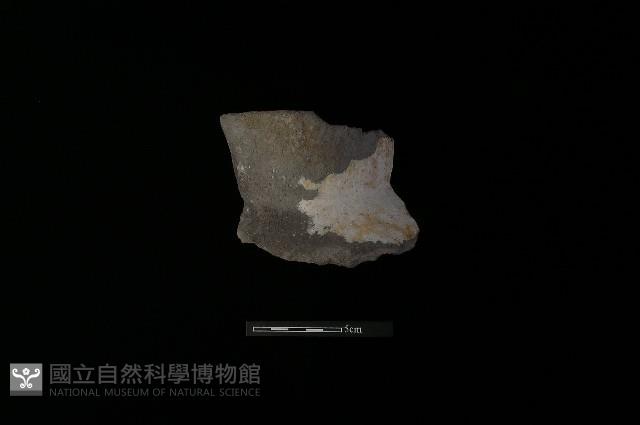 陶罐藏品圖，第1張