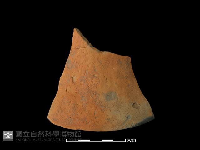 連杯形器藏品圖，第1張