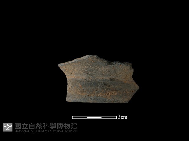 陶片藏品圖，第1張