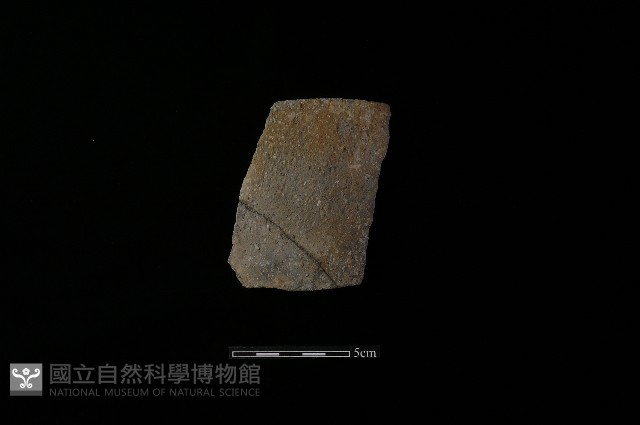 陶片藏品圖，第2張