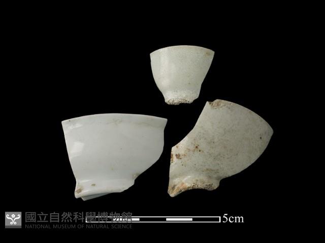 瓷杯藏品圖，第1張