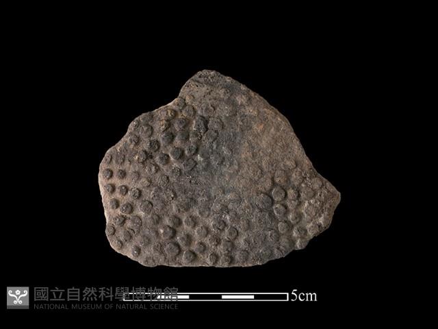 陶片藏品圖，第1張