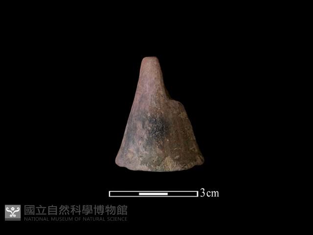 紡輪藏品圖，第1張