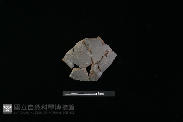 陶片藏品圖，第1張