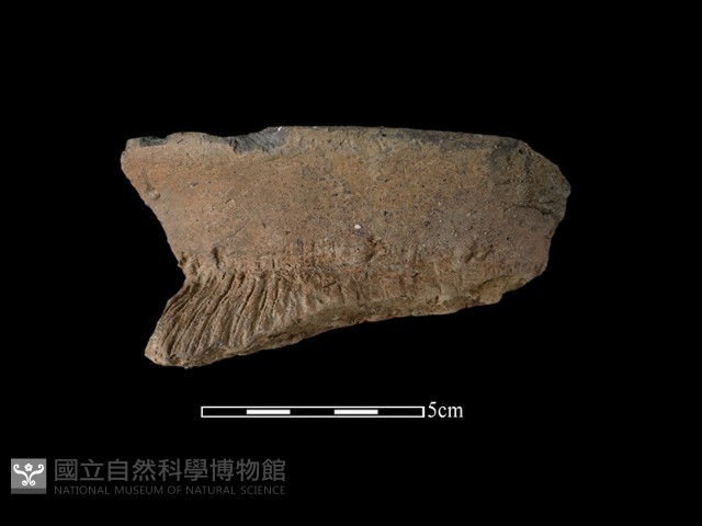 陶罐藏品圖，第2張