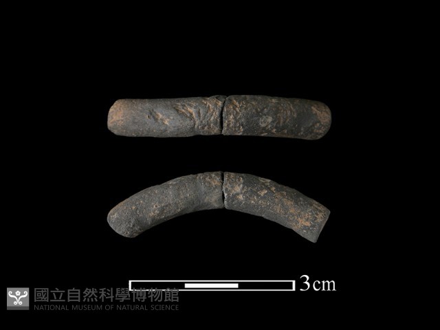 陶環藏品圖，第1張