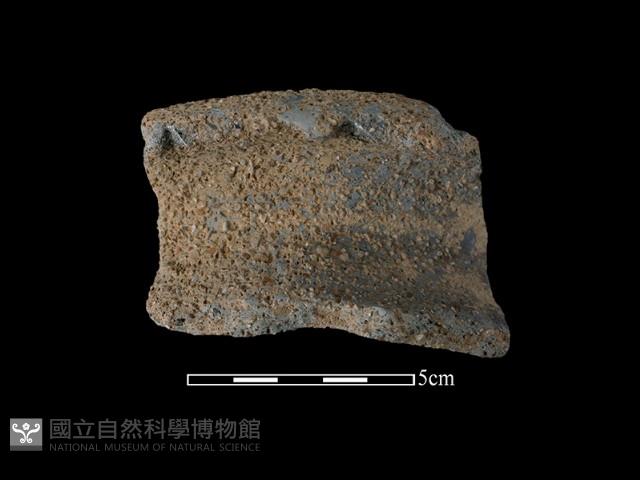 陶罐藏品圖，第2張