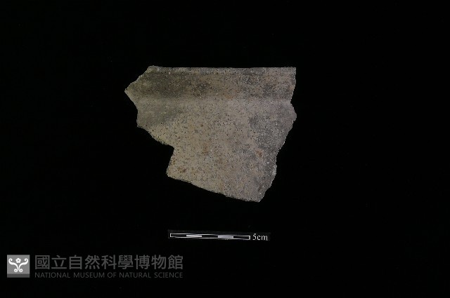 陶罐藏品圖，第1張
