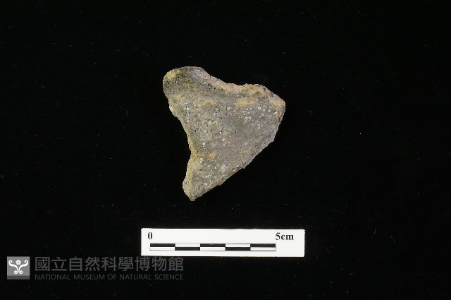 陶罐藏品圖，第1張