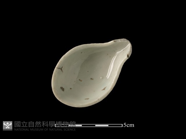 湯匙藏品圖，第1張
