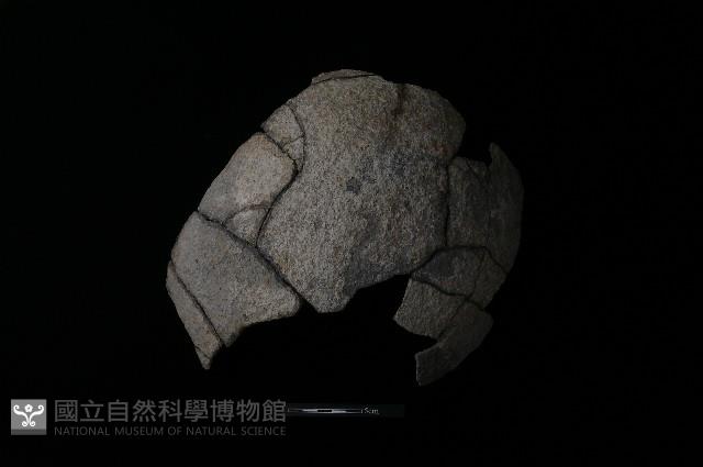 陶片藏品圖，第1張