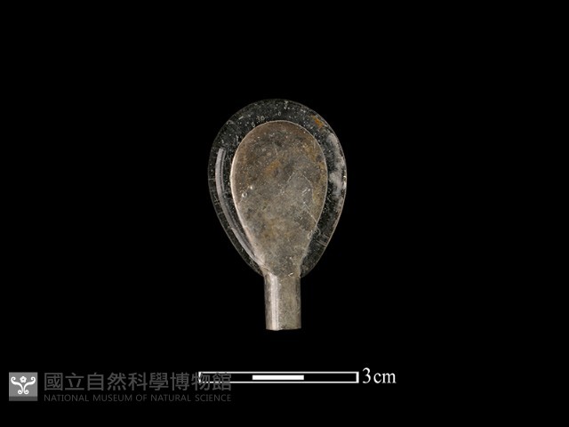瓶塞藏品圖，第1張