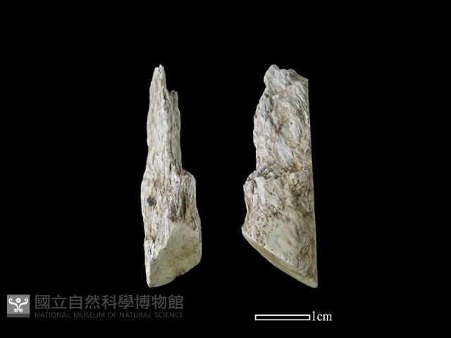 錛鑿形器藏品圖，第1張