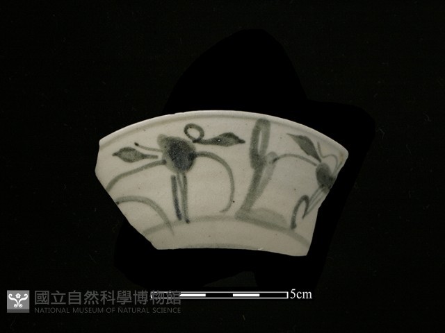 瓷片藏品圖，第1張