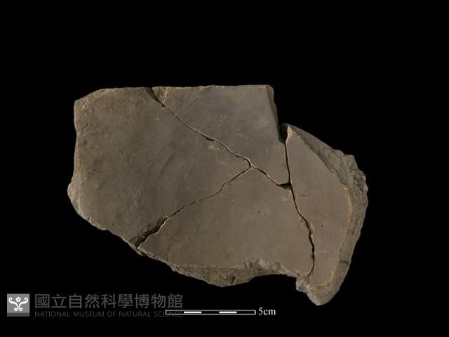 瓦片藏品圖，第1張