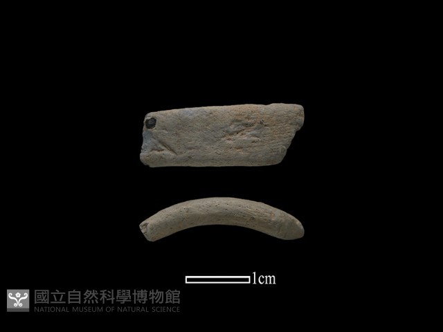 陶環藏品圖，第1張