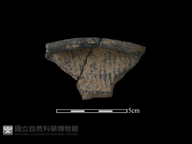 陶片藏品圖，第1張