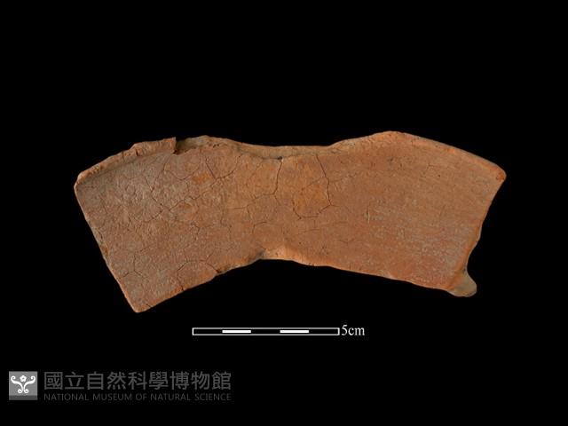 連杯形器藏品圖，第1張