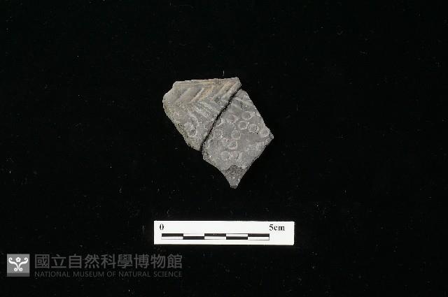 陶器藏品圖，第1張