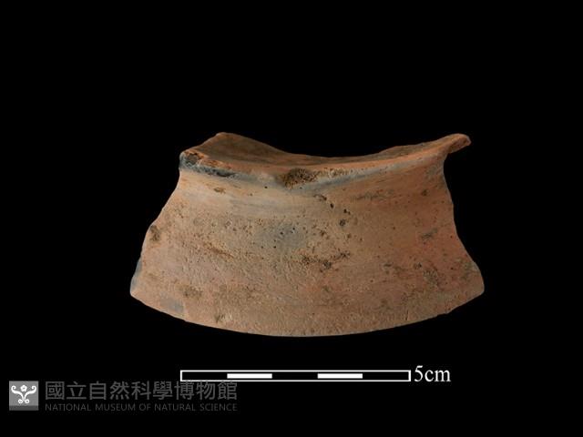 陶片藏品圖，第1張