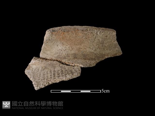 陶罐藏品圖，第1張