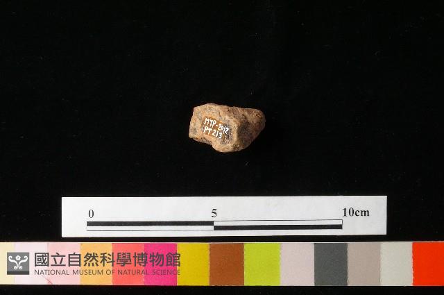 陶鈕藏品圖，第1張