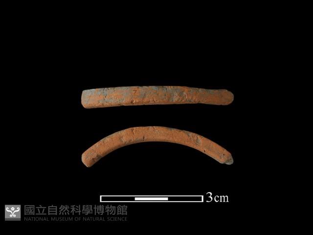 陶環藏品圖，第1張