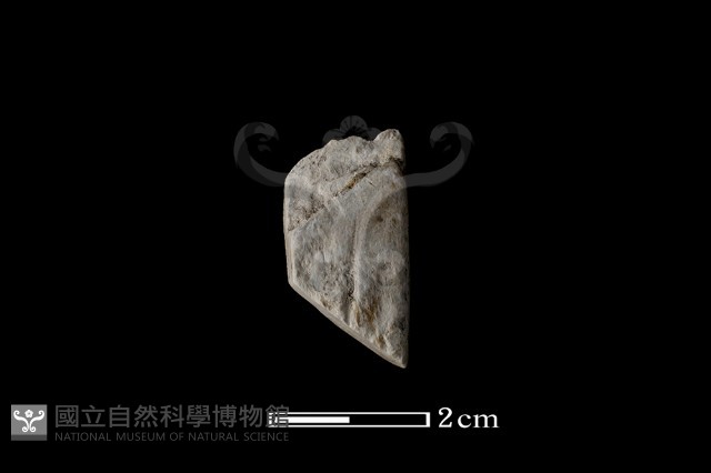 錛鑿形器藏品圖，第1張