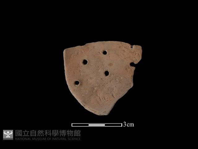 陶片藏品圖，第1張