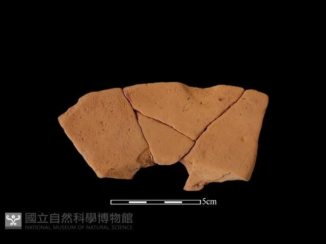 連杯形器藏品圖，第2張