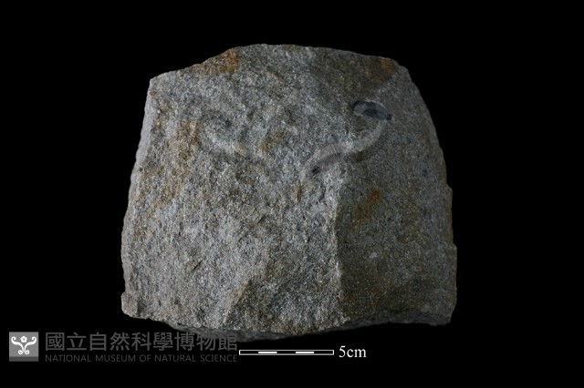 石核藏品圖，第1張