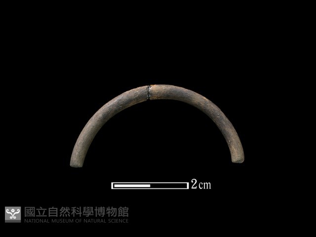 陶環藏品圖，第1張