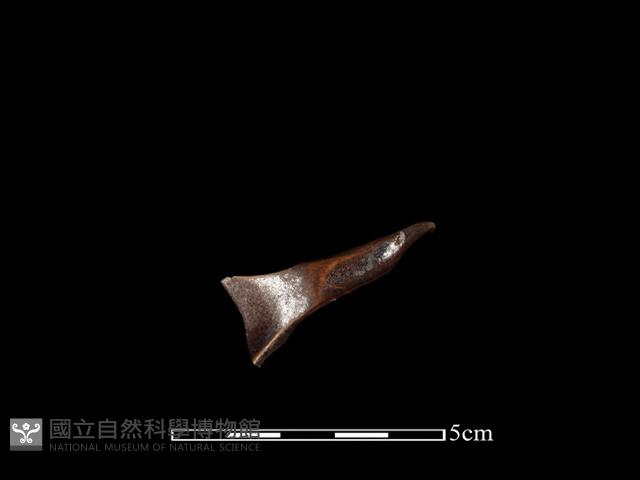 湯匙藏品圖，第1張