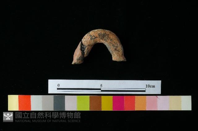 Accession Number:MTP-2012-PT243 Collection Image, Figure 1, Total 3 Figures