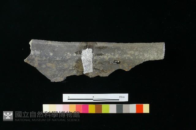 陶缸藏品圖，第2張