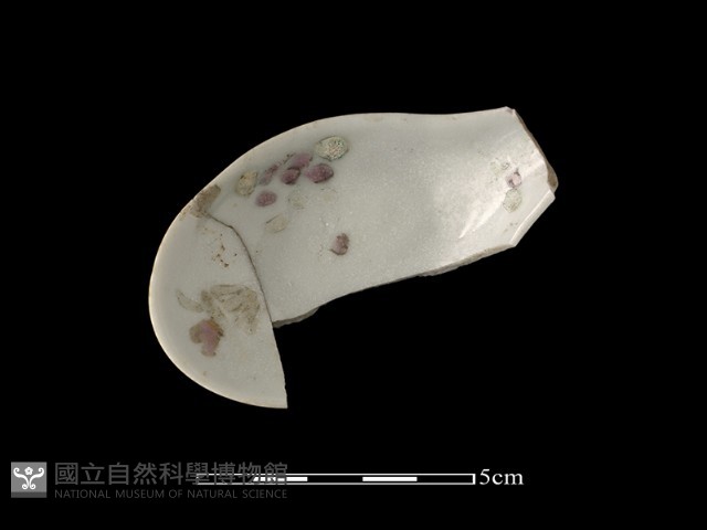 湯匙藏品圖，第1張