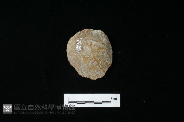 石片器藏品圖，第2張