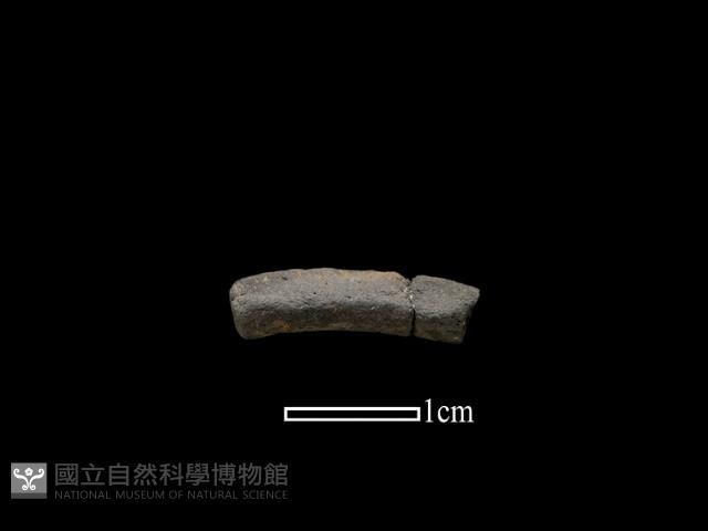 陶環藏品圖，第1張