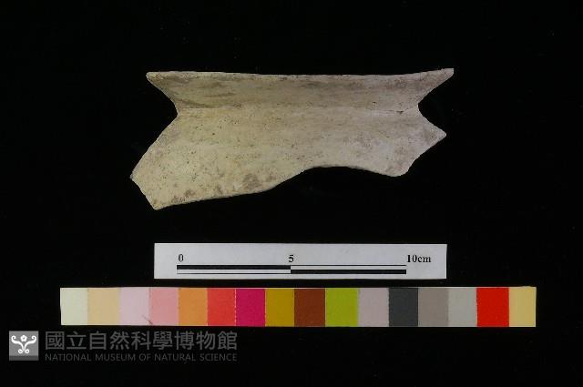 陶罐藏品圖，第2張