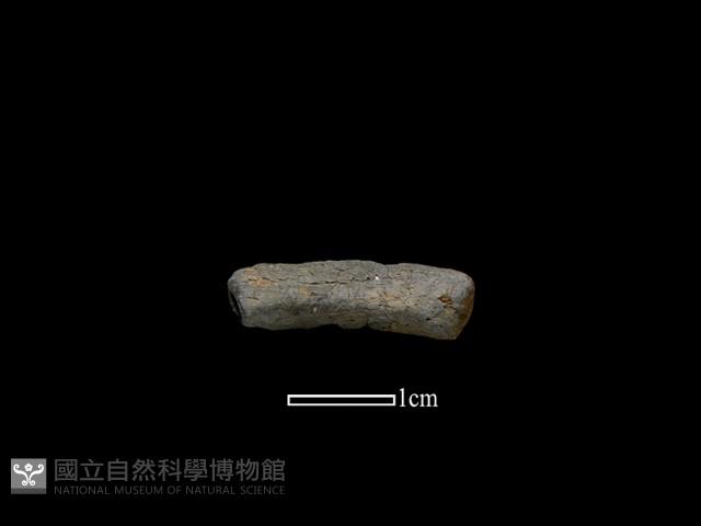 陶環藏品圖，第1張