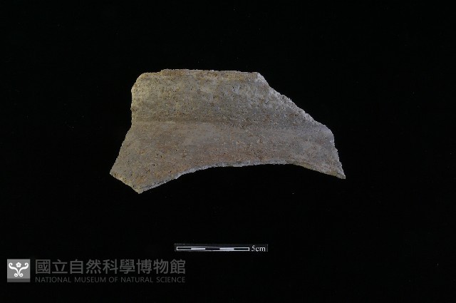 陶片藏品圖，第2張
