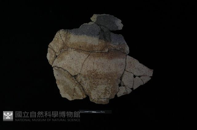 陶片藏品圖，第1張