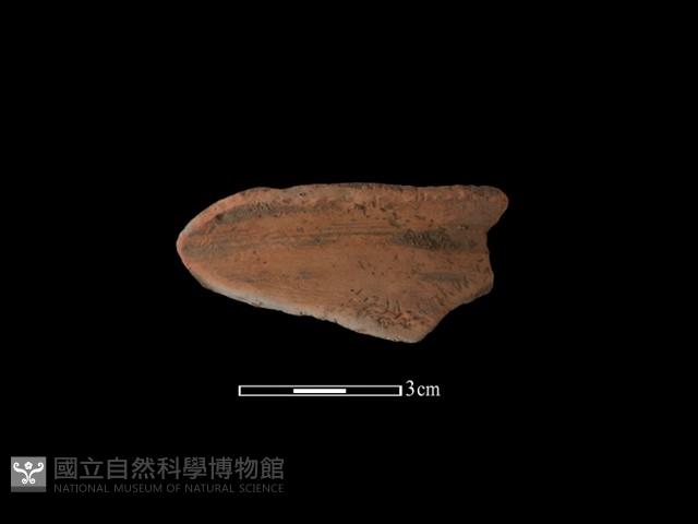 陶罐藏品圖，第2張