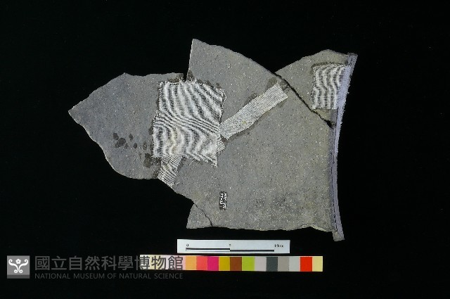 陶缸藏品圖，第2張
